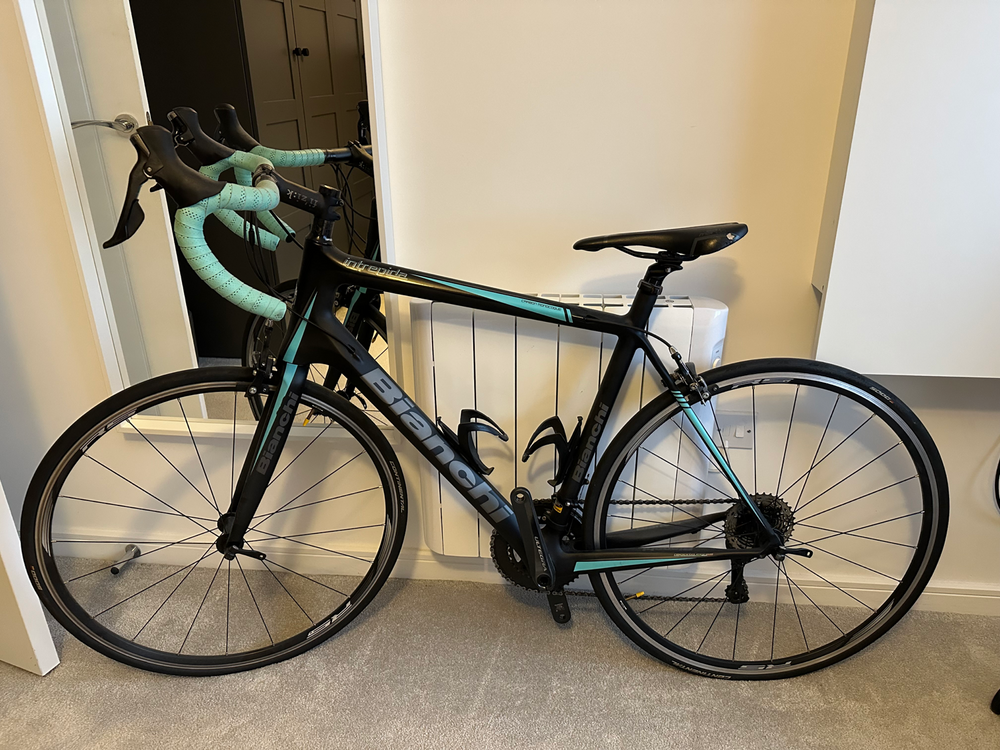 Bianchi Intrepida 105 2018