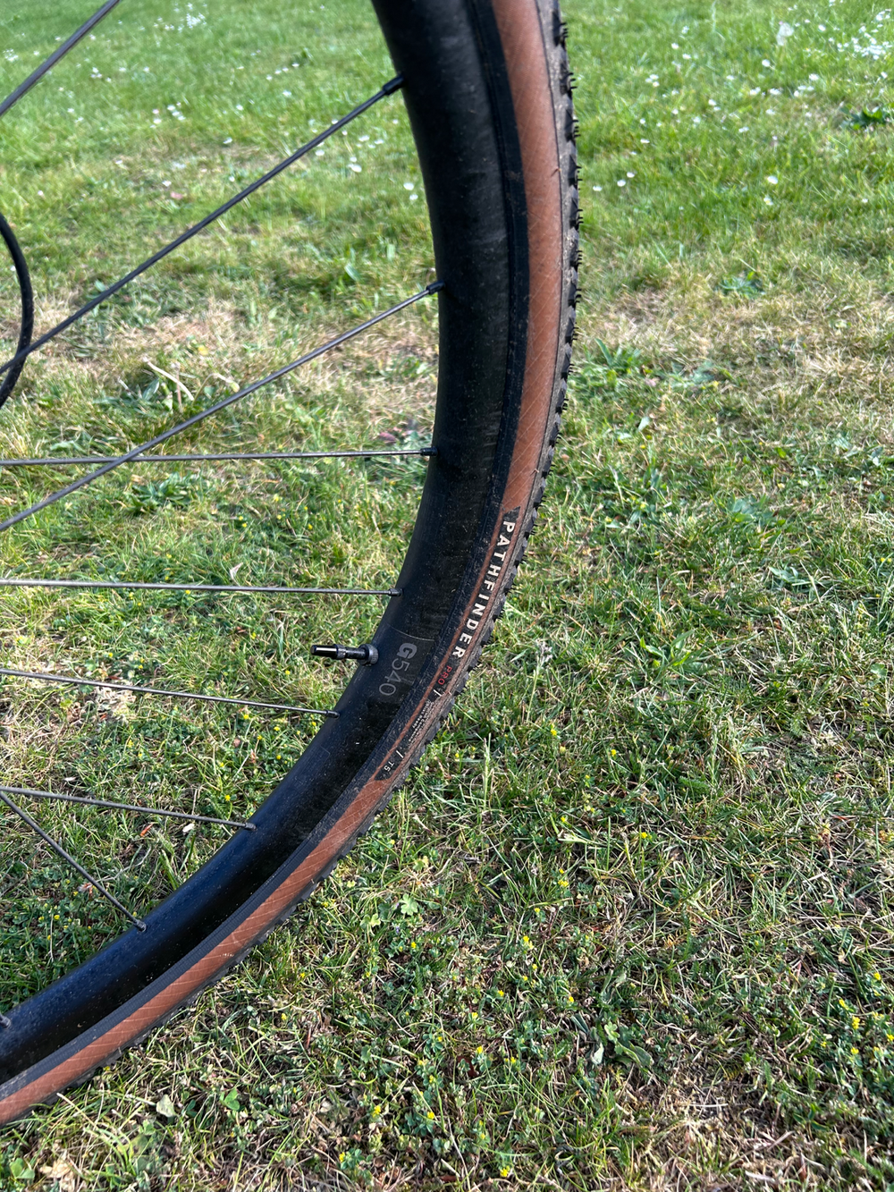 Vitus Energie Evo Rival 2020