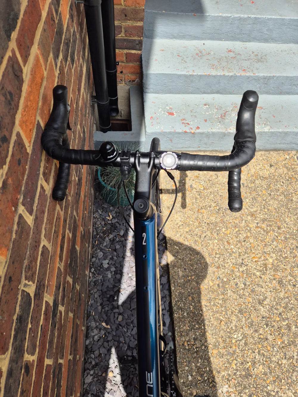 Trek Domane AL 2 Disc 2022