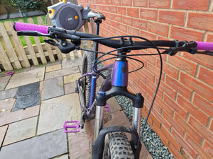 Trek Roscoe 6 2019