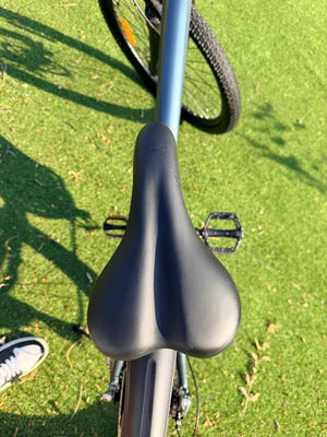 Aairsk GT900 Adult Electric Bike