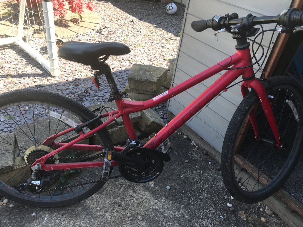 Carrera Saruna Junior Hybrid Bike 2022