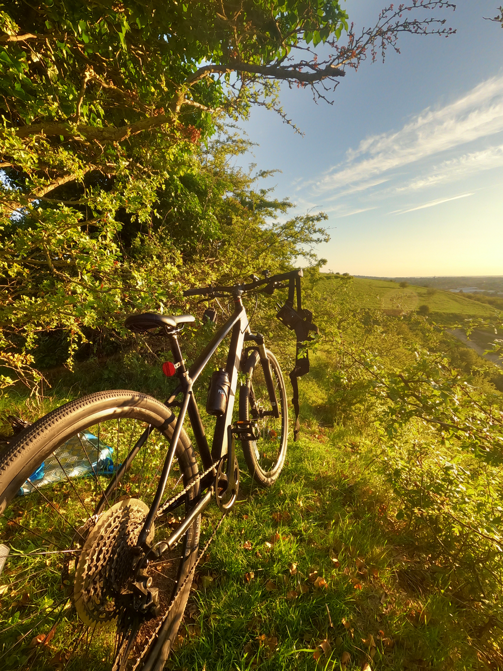 Trek Dual Sport 4 Gen 4 2023