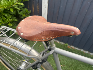 Pilen Dutch bike 2021