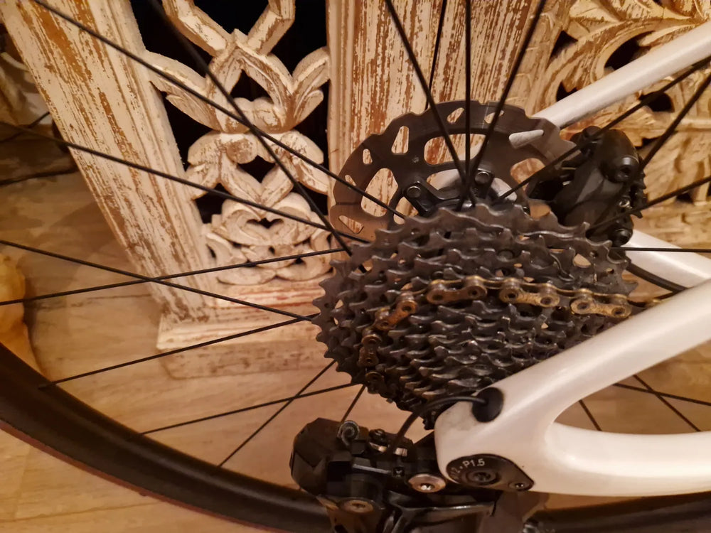 Dolan Tuono Carbon Disc Road Bike - Shimano-12s-105 R7170 Di2 2023