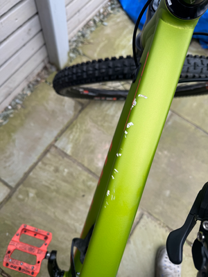 Whyte 805 v2 2020