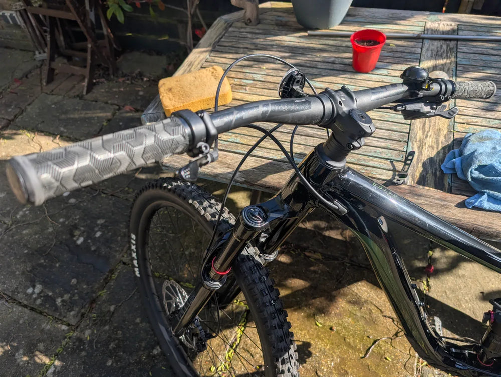 Giant Reign Advanced Pro 29 2 2021