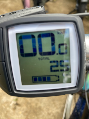 Electra Townie Go! 7D Step-Thru 2025