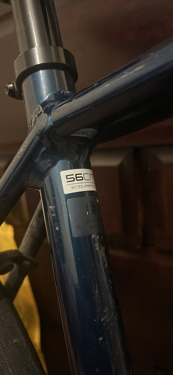 Trek Domane AL 2 Disc 2023