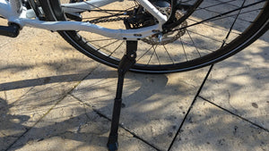 Ridgeback Supernova Eq 2022