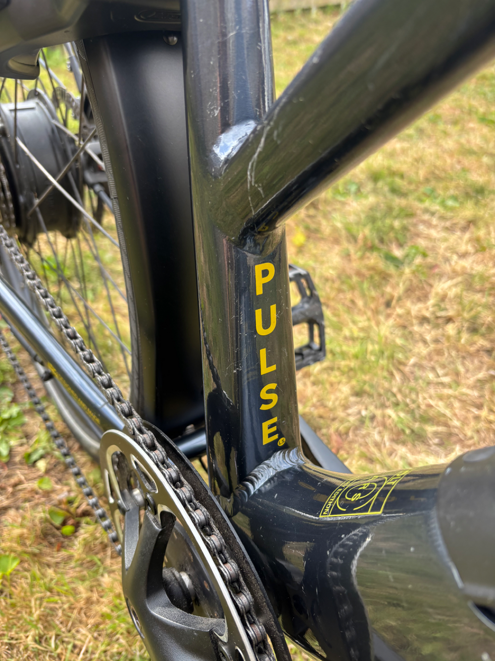 Volt Pulse Ls 2024