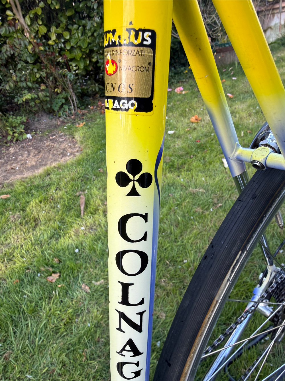 Colnago Tecnos 1999