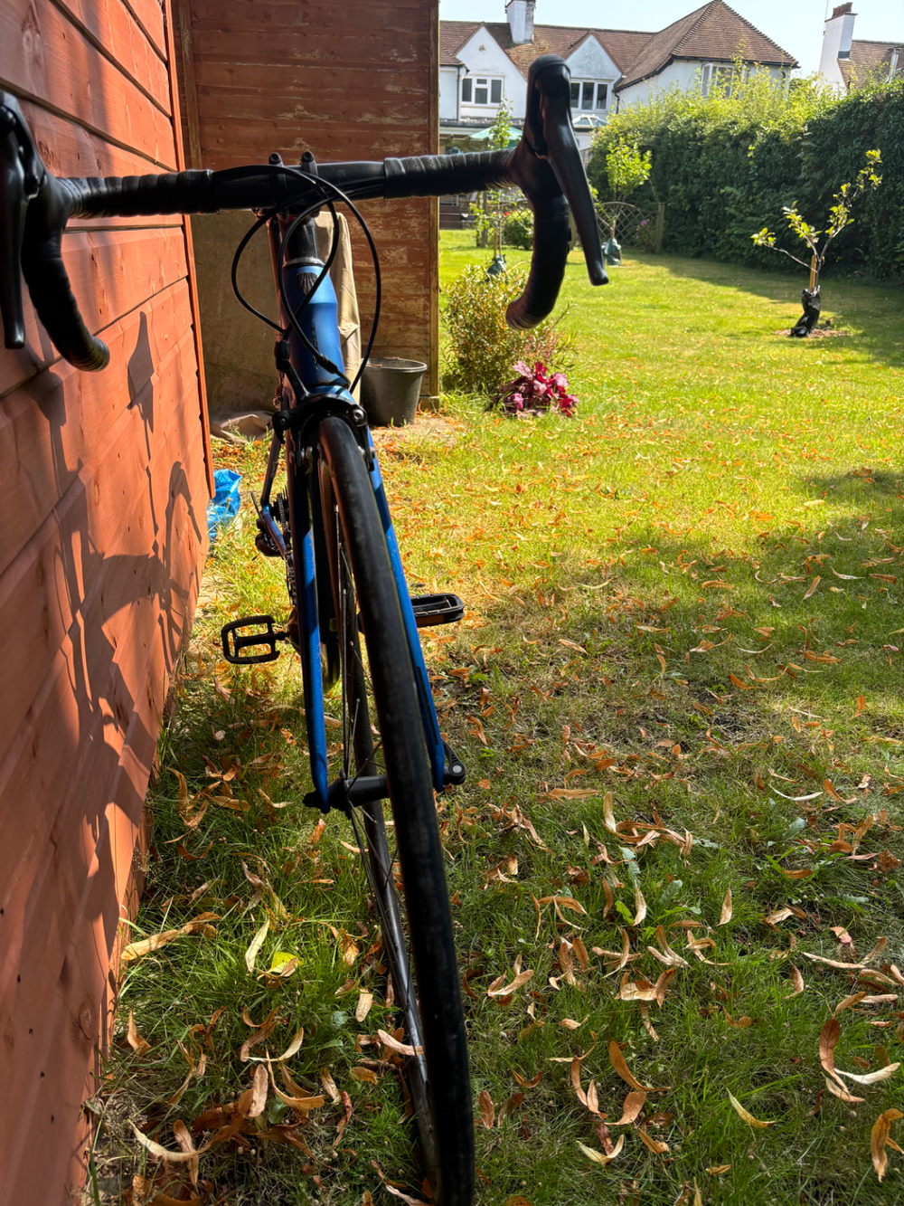Trek Domane AL 2 2020