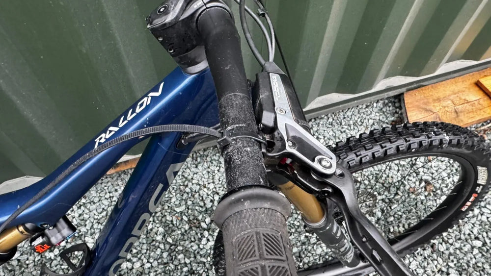 Orbea Rallon M Ltd 29 2024