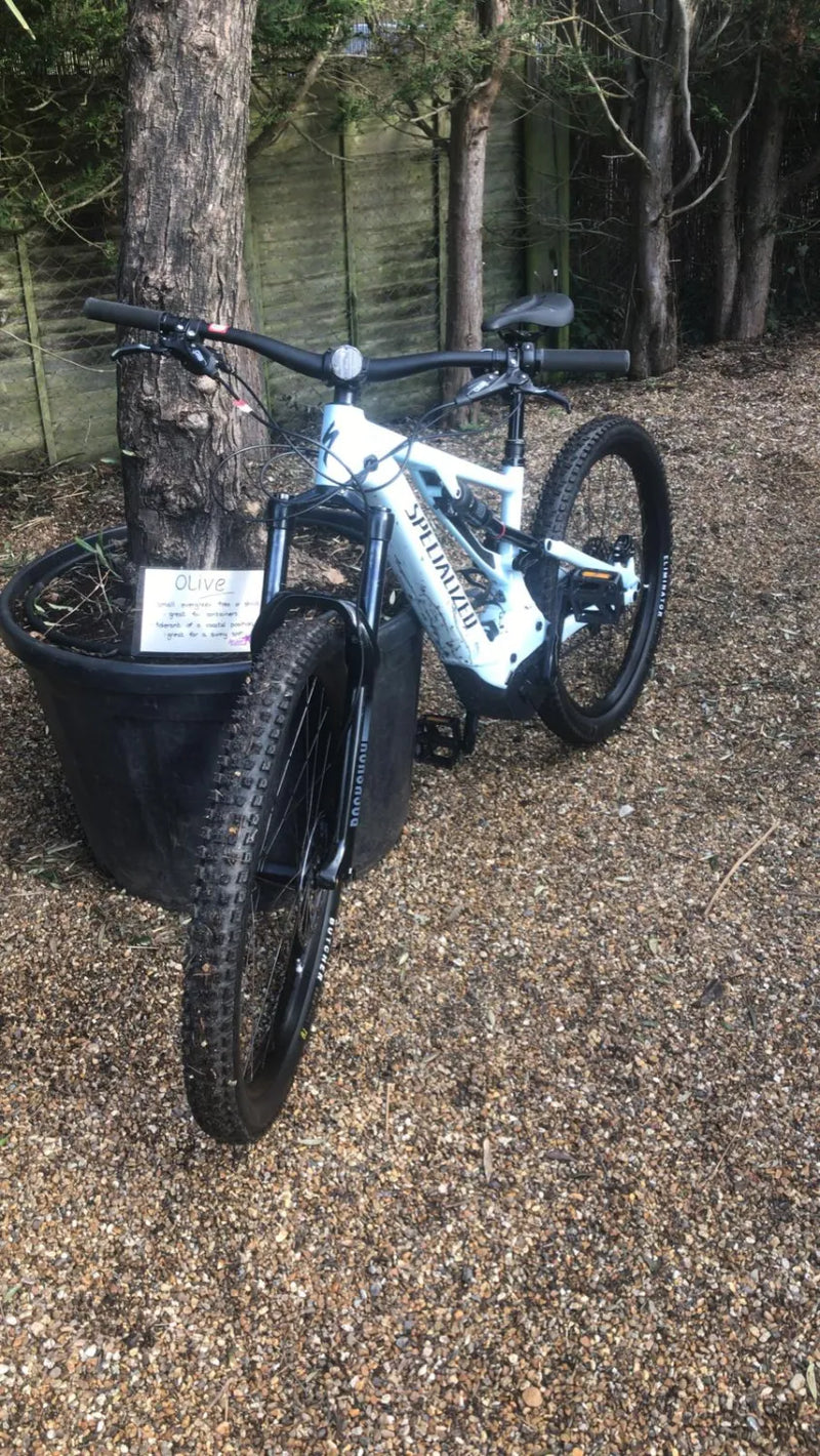 Specialized Levo Alloy 2023