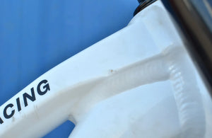 Trek Session 9 X01 2024