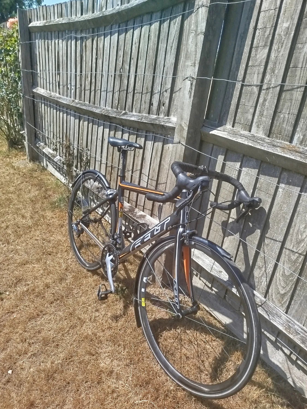 Felt Z6 Carbon 2012