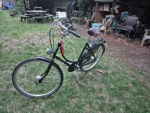 Pashley Princess Sovereign 5 Speed