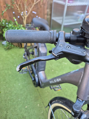 Raleigh Motus Ltd Lowstep Electric 2025