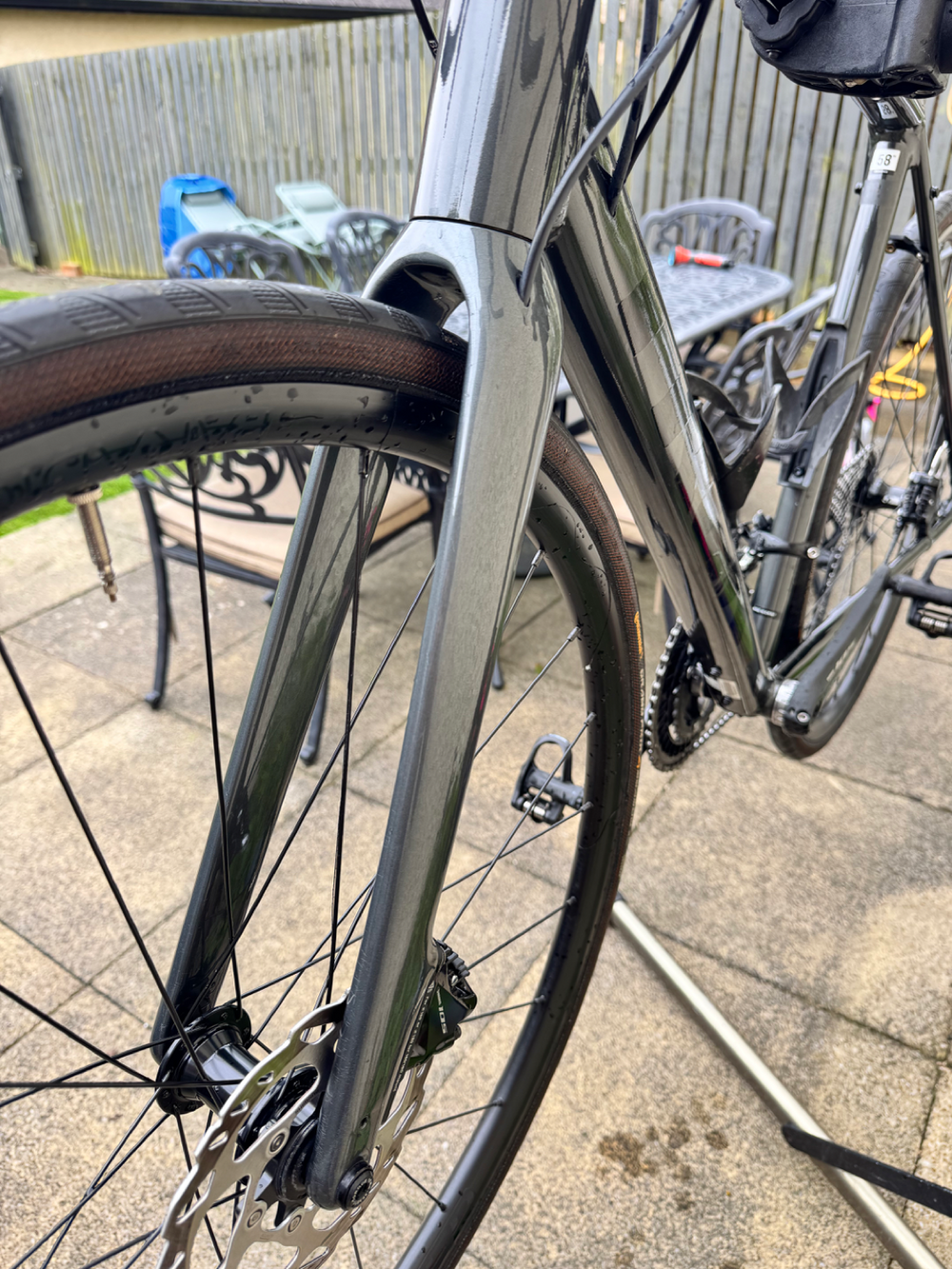 Trek Domane AL 5 Disc 2022