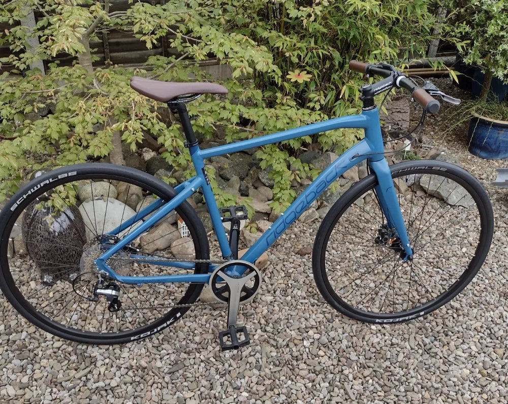 Ridgeback Flight 4.0 2019