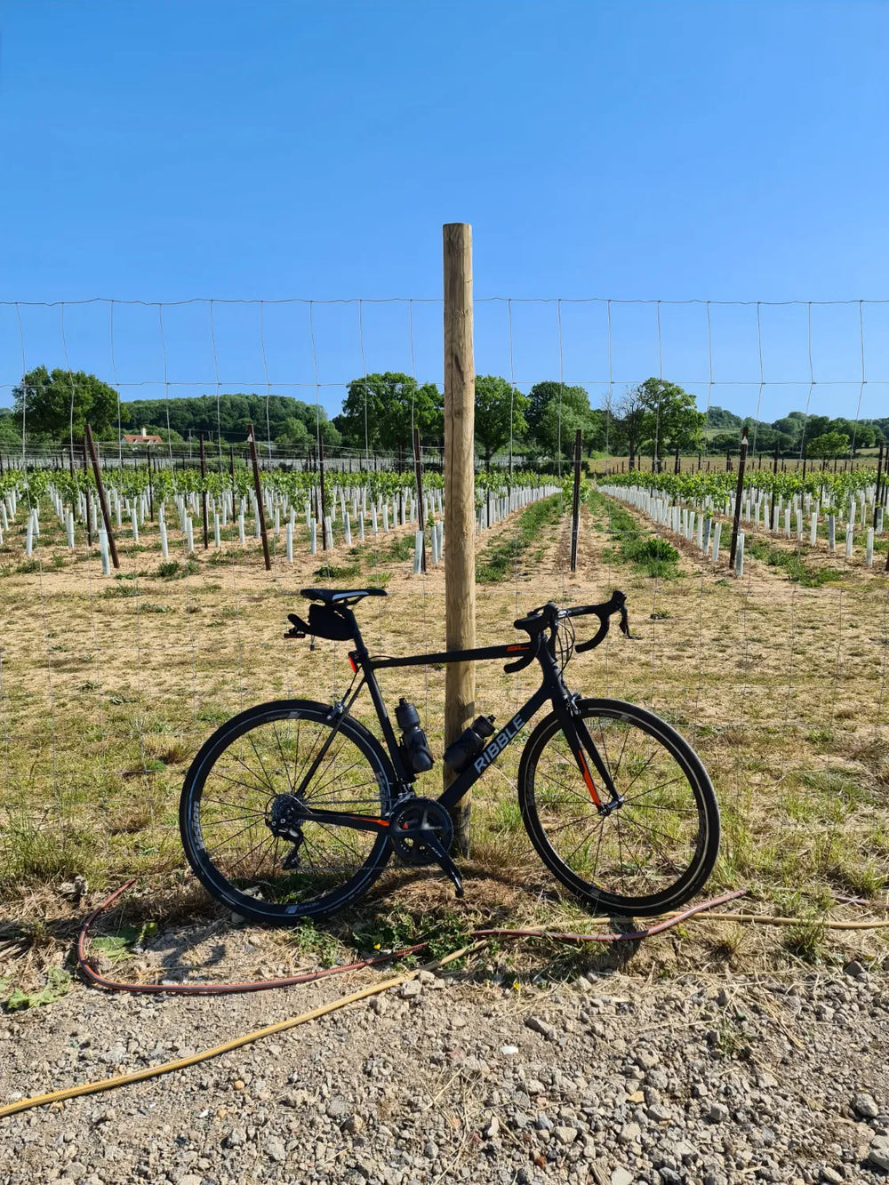 Ribble Allroad SL - Enthusiast 2018