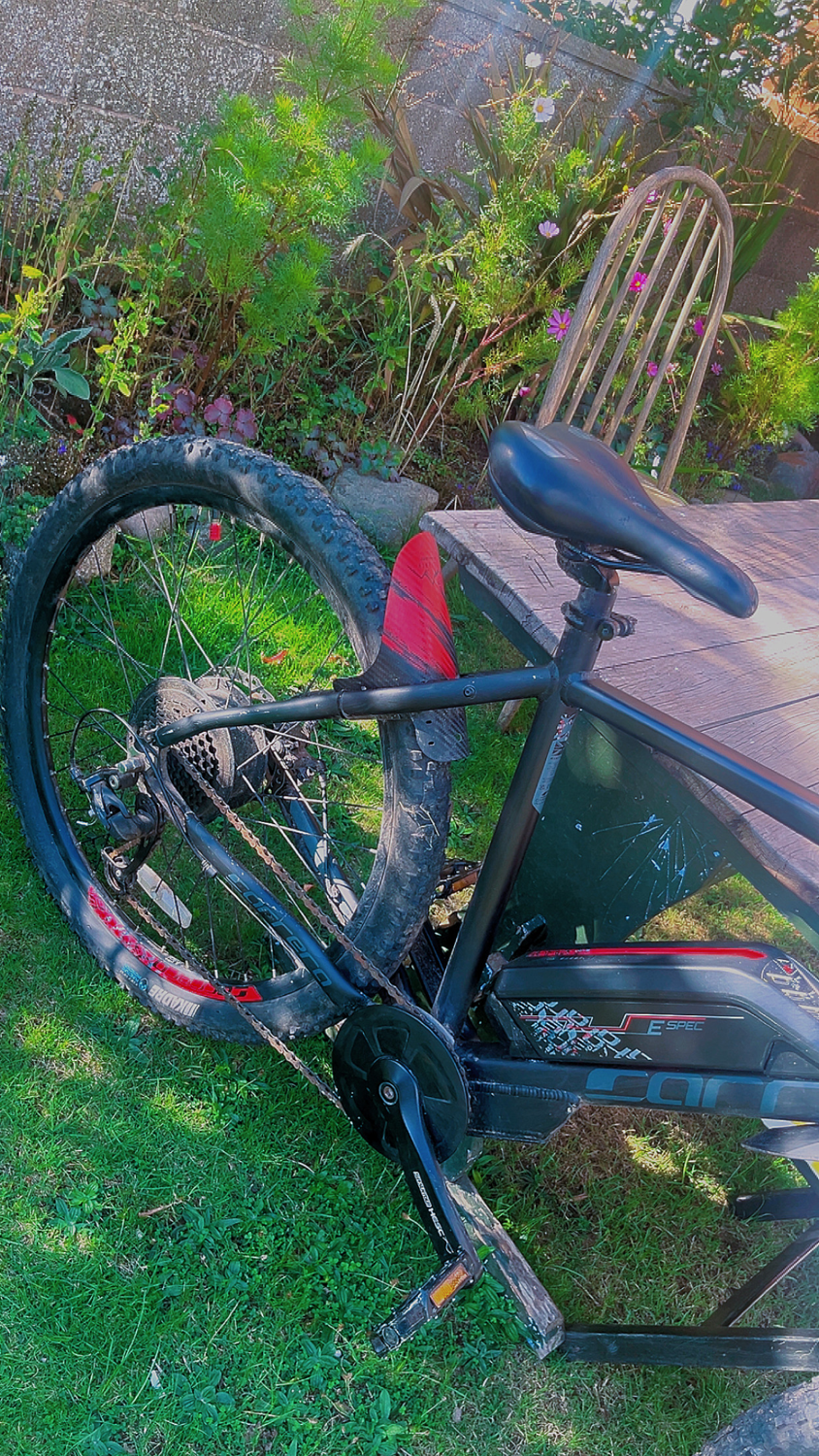 Carrera Vengeance E Mens Electric Mountain Bike Shimano 2.1 2023