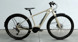 Cannondale Canvas Neo 2.0 2021