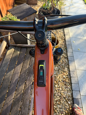 Trek Rail 9.8 GX AXS 2024