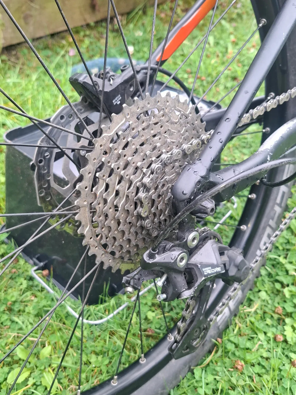 Orbea Laufey 24 H10 2022