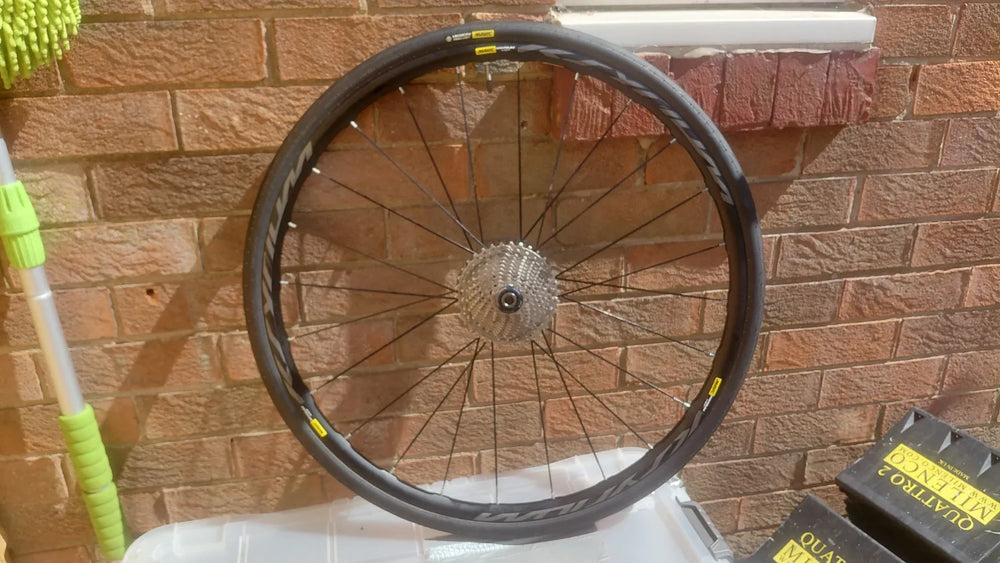 Kuota Kobolt 2019
