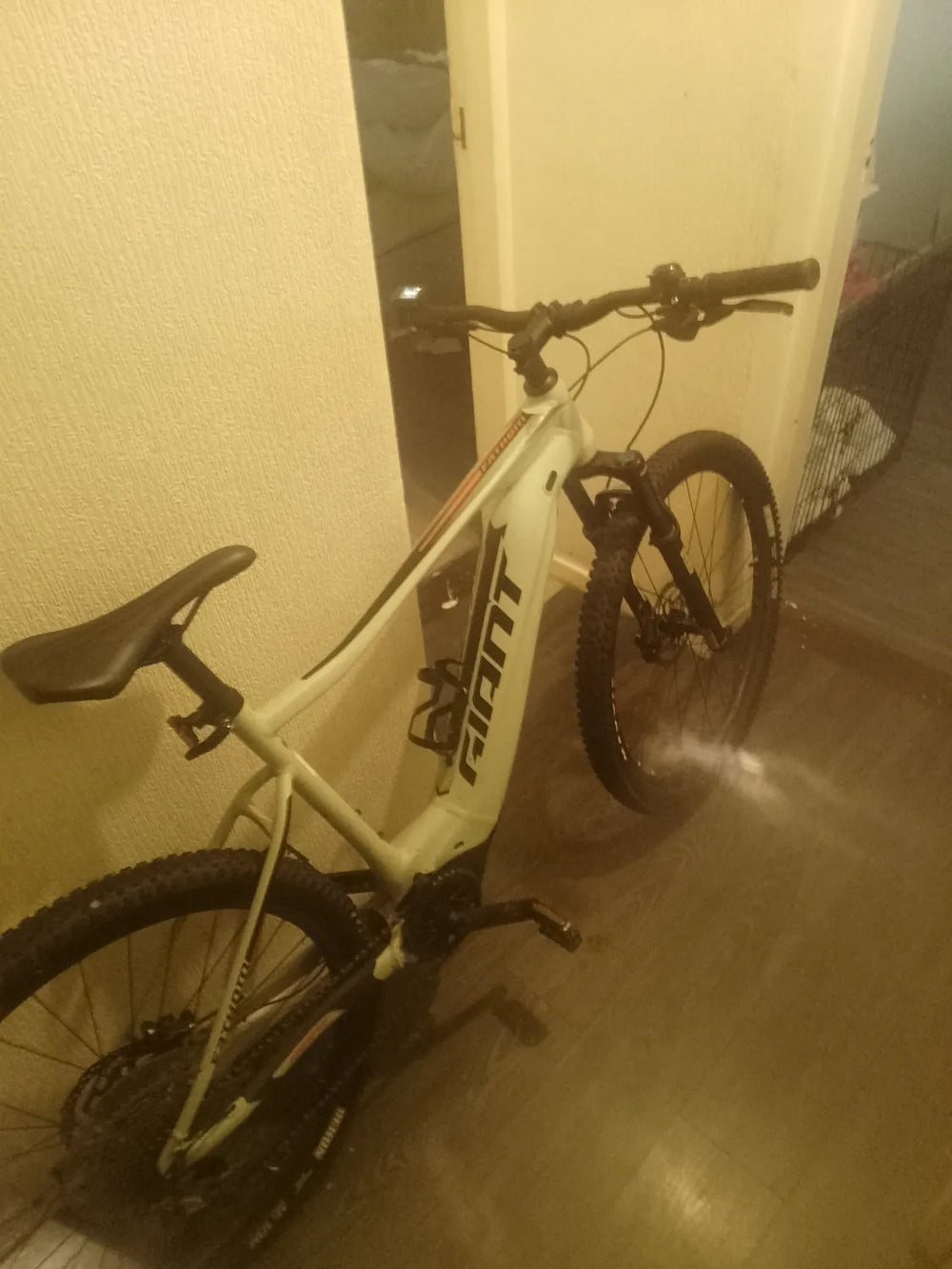 Giant 2013 Anthem X Advanced 29er 2 2012