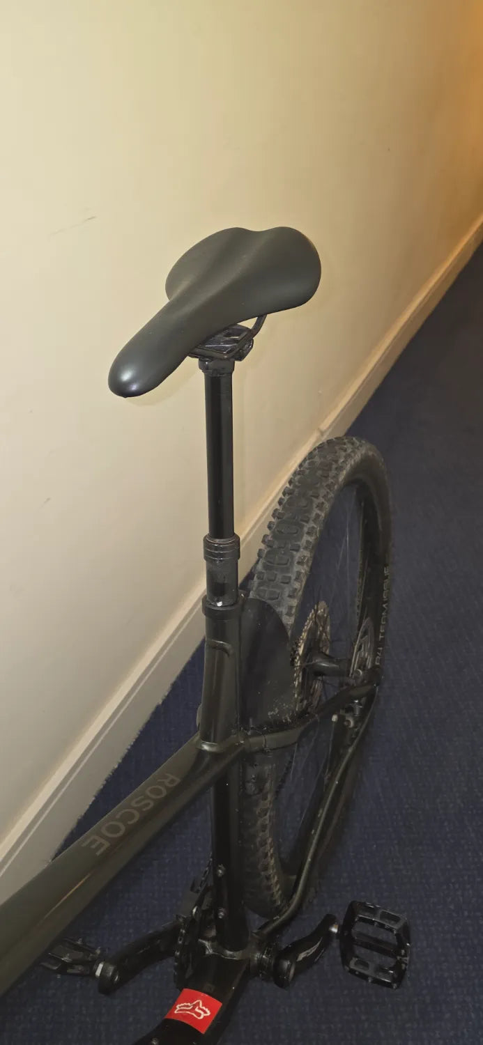 Trek Roscoe 7 2025
