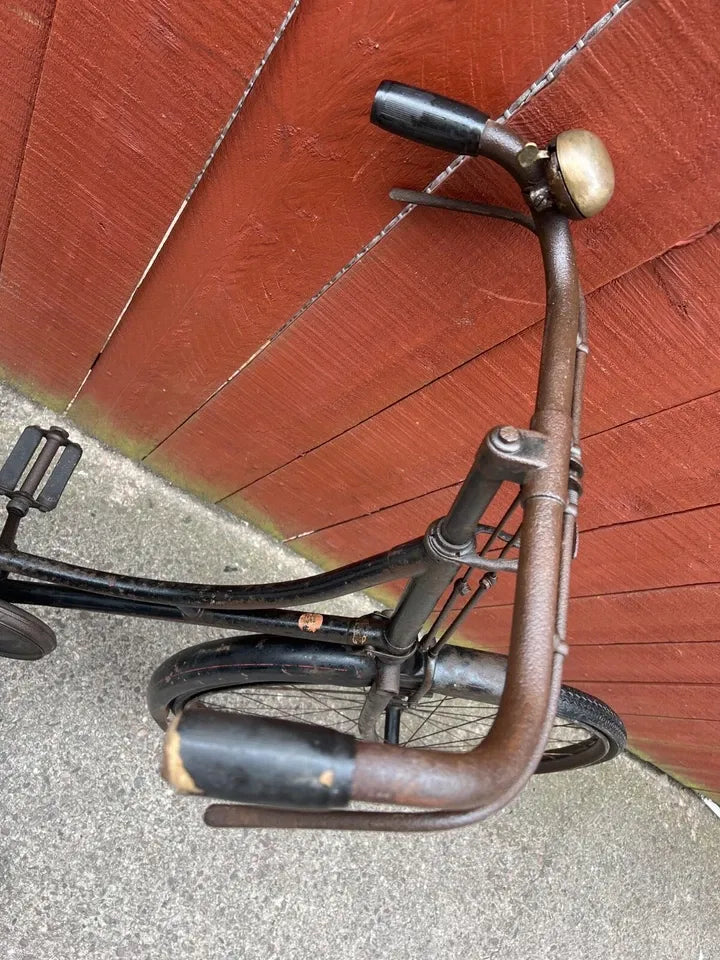 Raleigh Special 2017