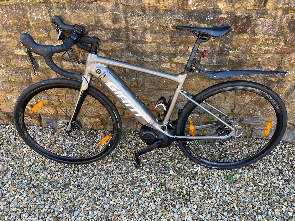 Giant E+2 Pro 2020