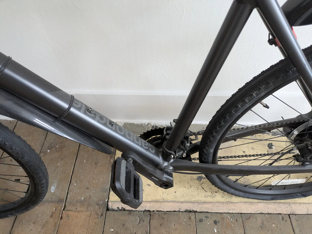 Cannondale Bad Boy 2 Disc 2019