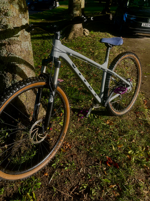 Vitus Nucleus 29 2024