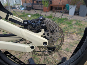 Canyon Torque Mullet AL 6 2025
