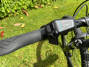 Trek Powerfly 4 625w Gen 4 2024