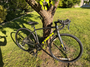 Trek Domane AL 3 Disc 2022