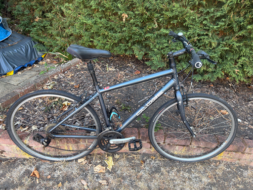 Specialized Globe 2008