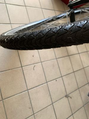 Raleigh Motus Grand Tour Lowstep 2021