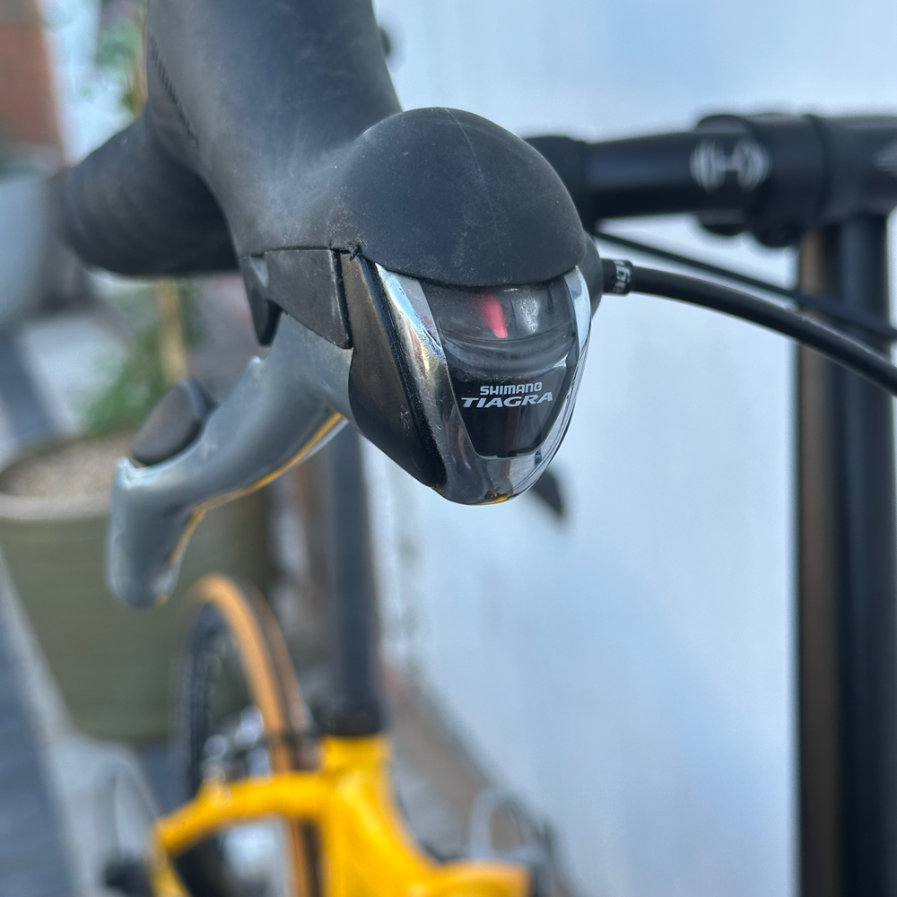 Dahon Speed Pro TT 2009