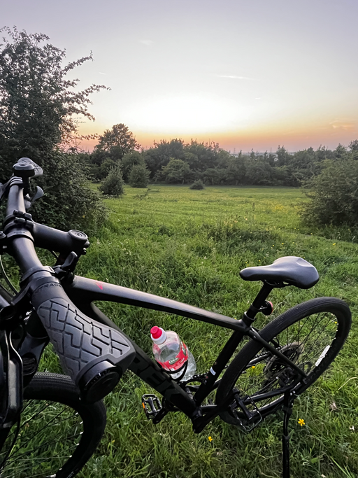 Trek Dual Sport 4 Gen 4 2023