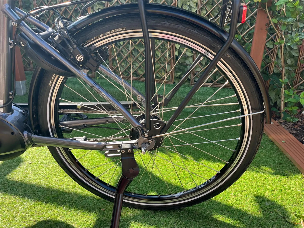 e-bike Victoria E-Trekking 5.5  45/26 2022