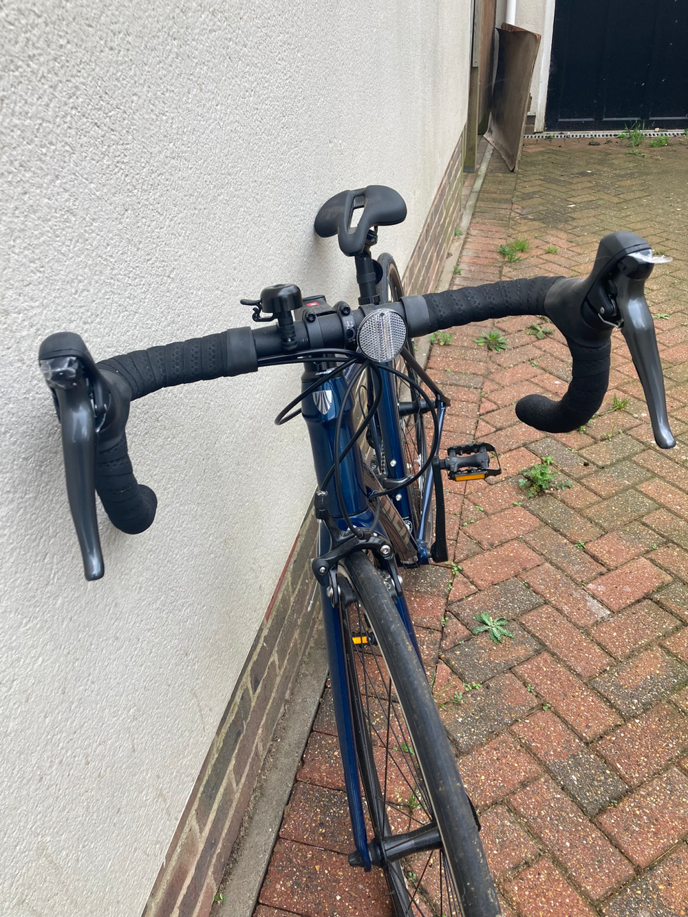 Trek Domane AL 2 Rim 2024