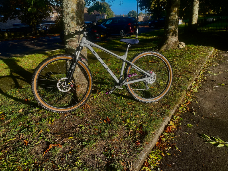 Vitus Nucleus 29 2024