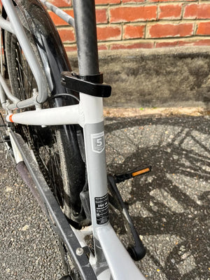 Rad Power RadCity 5 Plus Step-Thru 2021