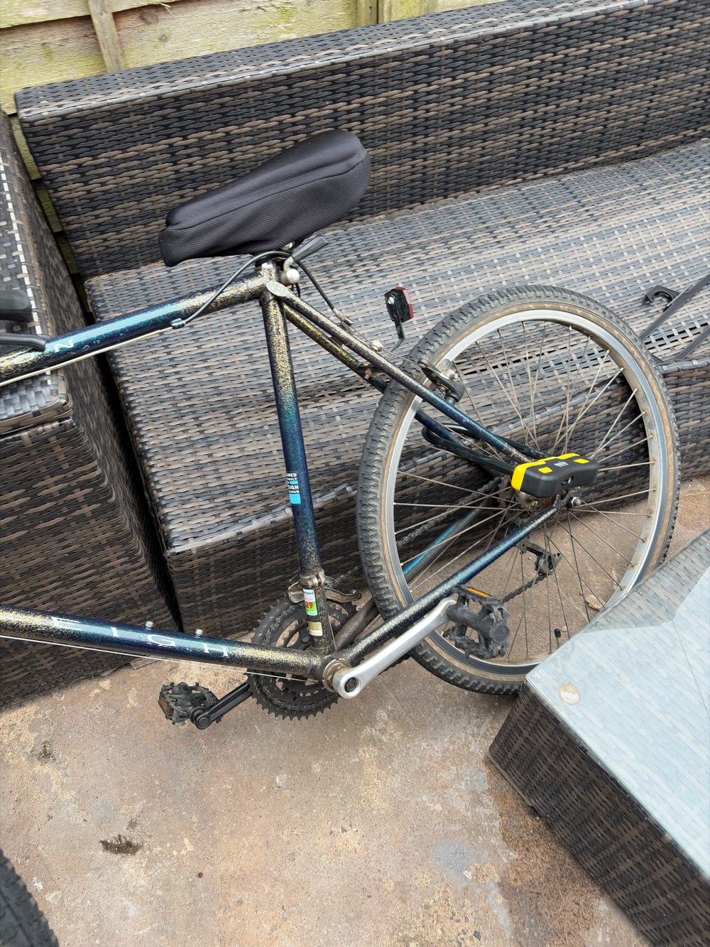 Raleigh Alysa 1 (2018) 2018