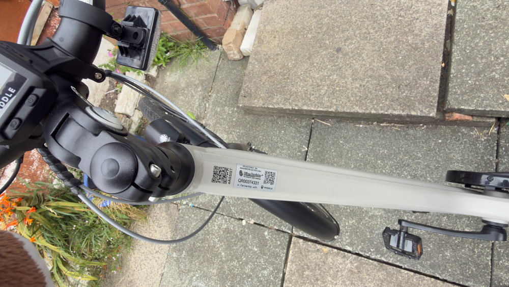 Peddle Step 2025